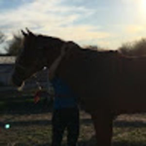 Meet your Posher, Lex